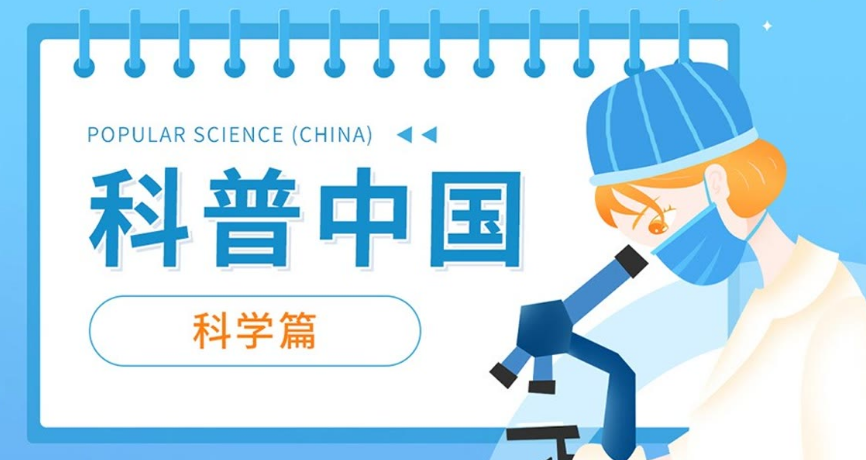 中国学术期刊网